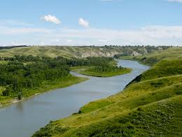 Obituary for Kaye Hage