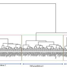 Image result for Sphenostylis briartii