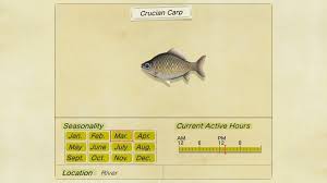 How To Farm Crucian Carp | The Fish Site
