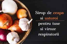 Pentru sezonul rece se recomanda carceii si ardeiul iute avand efect de dezinfectant si energizant in problemele racelii si a nasului infundat. 20 Leacuri Ideas In 2021 Remedii Naturale SÄnÄtate Remedii Naturiste