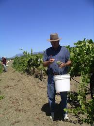 Perfect for working out spending the day in the sun or going on a hike with the guys. Scott Harvey Wines Blog