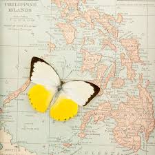 Vintage Map Of Philippines With Filipino Butterfly Etsy Old Map Philippines Travel Philippines