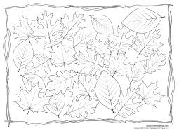 Show them the proper way how to color. Leaf Templates Leaf Coloring Pages For Kids Leaf Printables