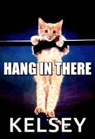 Hang In There Baby Gifs Tenor