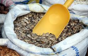 Manfaat bunga matahari baik biji dan minyaknya adalah untuk jantung, peradangan, anti penuaan, dll. Biji Bunga Matahari Karung Foto Gratis Di Pixabay