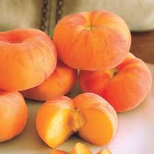 We receive the shipment of fruit trees from adams county nursery around the. Dwarf Fruit Trees For Sale Online Reachables Gurney S