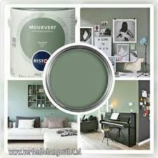 geordend histor woonkamer groen interieur woonkamer huis verfkleuren