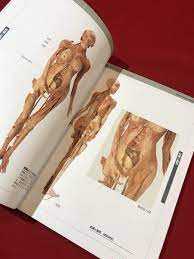 安い割引 BODY WORLDS 人体不思議展 未開封 DVD ecommerceday.do