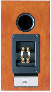 It happened while i was in boston on a business trip. Bg Z1 Loudspeaker Stereophile Com