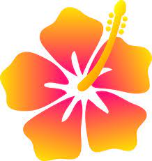 Lovely Hibiscus Flower Hibiscus Clip Art Flower Clipart Hawaiian Flower Drawing