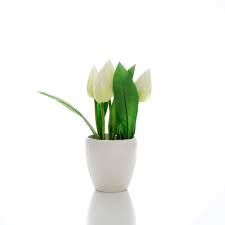 Pot bunga, maros, sulawesi selatan, indonesia. Icreate Set Bunga Hias Plastik Dan Pot Plastik Vas Pot Bunga Liteta White Dinomarket Gadget Electronic Premium Marketplace