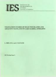 Image result for Aristida rhiniochloa