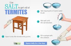 Use Salt To Get Rid Of Termites Termites Termite Control Home Remedies