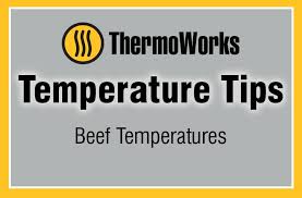 beef temperature chart thermoworks