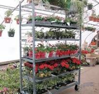 Transport & Display Racks