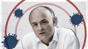 Regardless of how you feel about mr cummings, his seven hours of testimony was a remarkable. Hmzrpe1nxtxf8m