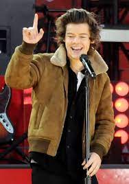 Harry Styles Jacket Harry Styles Bomber Jacket Style Harry Styles Mr Style
