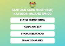 Saya dah terima bpn, bsh masih dapat tak? Permohonan Baru Br1m 2019 Online Tangguh S