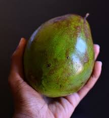 Avocat De Martinique Windward Islands Fort De France Caribbean Sea