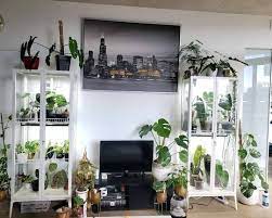 Ikeagreenhousecabinet On Instagram Ohhthatplant About This Cabinet We Purchased 2 Milsbo Cabinets After Deciding That House Styles Home Home Decor