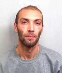 Jailed in Essex: The shocking stories of the 68 criminals put behind bars  during lockdown