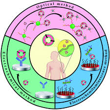 We're doing our best to make sure our content is useful, accurate and safe. Biomedical Analysis Of Exosomes Using Biosensing Methods Recent Progress Analytical Methods Rsc Publishing