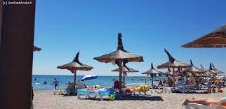 Rezerva online prin direct booking. Mera Resort Ex Cocorul Pajura Venus 4 Venus Saturn Forum Impresii PÄƒreri RecomandÄƒri Mera Resort Ex Cocorul Pajura Venus Amfostacolo