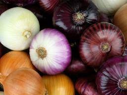 In one experiment on patients with alopecia areata, onion juice was applied to the scalp and massaged into areas where hair growth was minimal. Onion Juice For Hair Growth Does It Work And How
