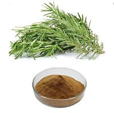 Pure Rosemary Extract Powder 20: 1 Anti ...