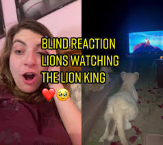 Lion King Game over Reaction