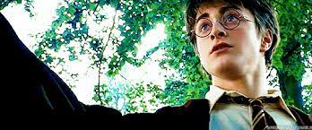 Lyra Y El Prisionero De Azkaban 3 Harry James Potter Harry Potter Gif Harry Potter Universal