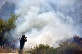 Φωτιές σε εξέλιξη στο ασκληπιείο επιδαύρου και την λίμνη ευβοίας. Anypologisth H Oikologikh Katastrofh Apo Th Fwtia Sth Limnh Eyboias Talk Of The Town