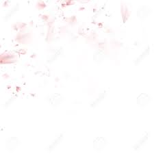 Wallpaper White Background Pink Flowers Gambar Bunga Such as png, jpg, animated gifs, pic art, logo, black and white, transparent, etc. wallpaper white background pink flowers