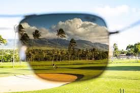 To the reflecting (vertical) surfaces which won't polarize the light. Do I Need Polarized Sunglasses For Golf Live Aloha Blog From Maui Jim