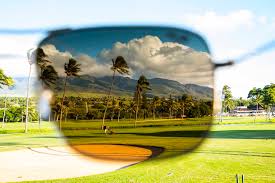 To the reflecting (vertical) surfaces which won't polarize the light. Do I Need Polarized Sunglasses For Golf Live Aloha Blog From Maui Jim