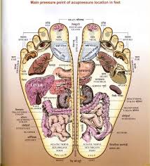 Check spelling or type a new query. Acupressure Points On Feet Shefalitayal