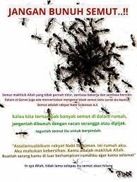 Haluskan kulit jeruk dan air. Rasulullah Marah Bila Kita Membakar Semut Begini Cara Mengusirnya Agar Diridhoi Allah