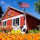 Fall Festival at Sonny Acres Farm 2025 (10/24) event image