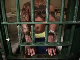Life In Prison Pictures Business Insider These images contain disturbing material. life in prison pictures business insider