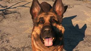 Dogmeat Fallout 4 Fallout Wiki Fandom In fallout 4 you can equip. dogmeat fallout 4 fallout wiki fandom