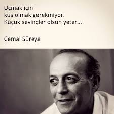 Ucmak Icin Kus Olmak Gerekmiyor Kucuk Sevincler Olsun Yeter Cemal Sureya Sozler Anlamlisozl Ilham Verici Alintilar Ilham Verici Sozler Ilham Veren Sozler