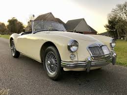 Image result for Old English White 1961 MG