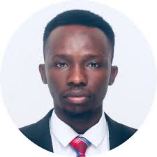 Any undergraduate researcher from China willing to work