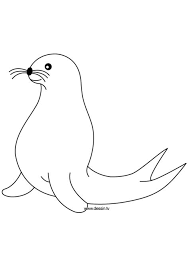 Seal coloring pages for preschoolers How To Draw A Baby Seal Shefalitayal