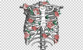 5 out of 5 stars (649) 649 reviews $ 5.00. Rib Cage Human Skeleton Anatomy Skeleton Heart Flower Anatomy Png Klipartz