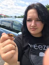 Chocolate Covered Cicades! lol!😳🤣🪰