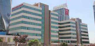Istanbul Anadolu Yakasinda Bulunan Devlet Hastaneleri