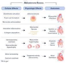 Image result for Aldosterone