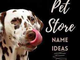 We did not find results for: 50 Pet Store Names Toughnickel