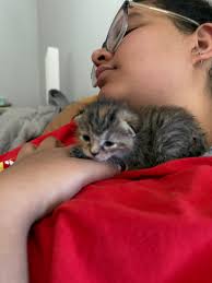 Hi there. Not sure if this is something anyone would need, but I have a 12  can box of kitten food plus one extra can that I no longer need. I would